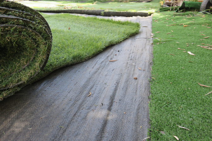 damaged turf that needs repairs damaged turf that needs repairs