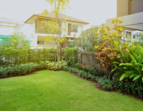 turf in a residential area