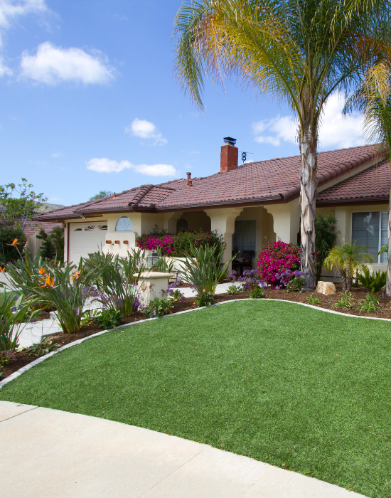 residential turf in a beautiful front yard with flowers residential turf in a beautiful front yard with flowers